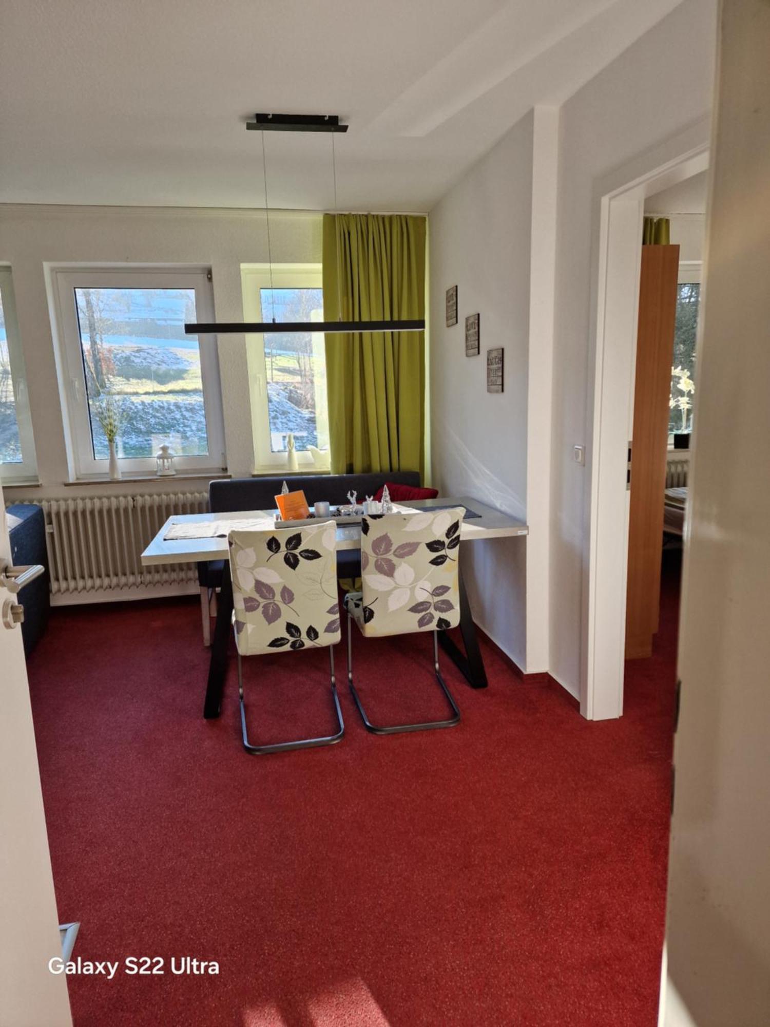 Ferienwohnung Vier Pfoten Willingen (Upland) Exterior foto